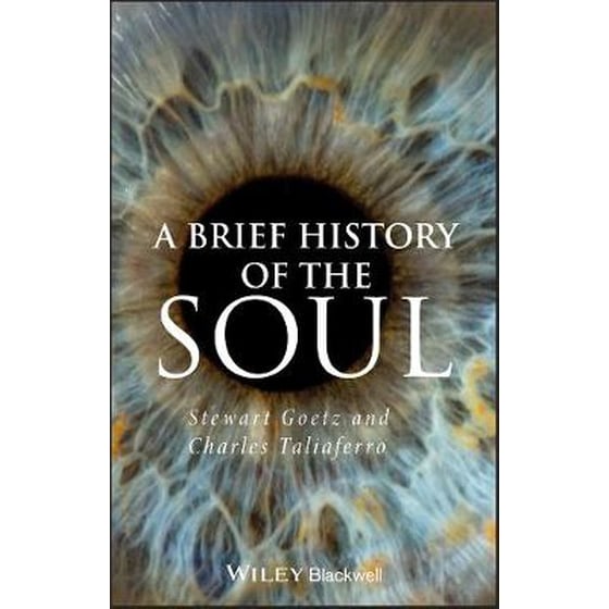 Brief History of the Soul image 0