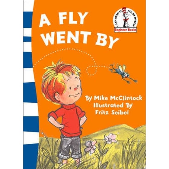 A Fly Went By image 0