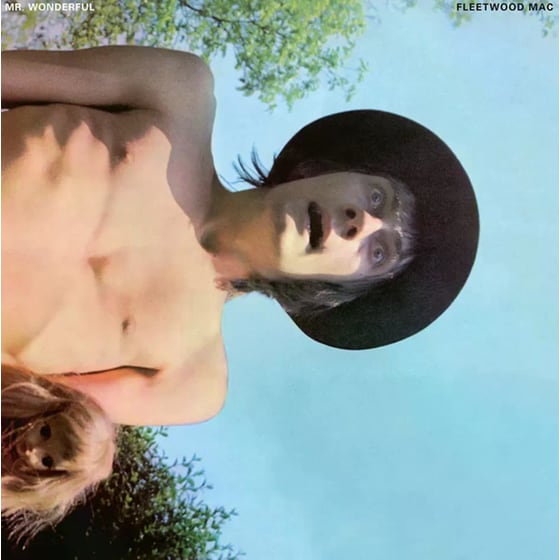 Mr. Wonderful (LP) image 0