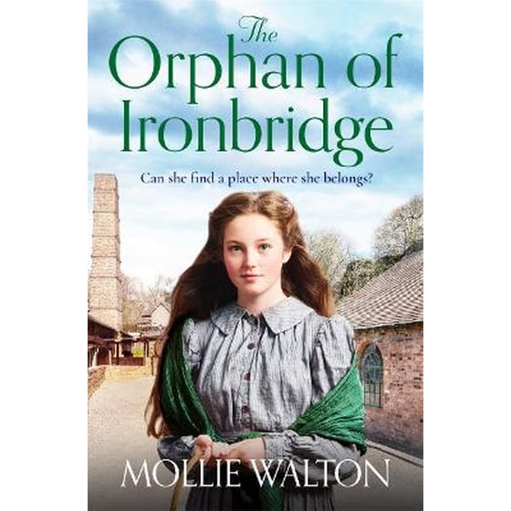 The Orphan of Ironbridge image 0