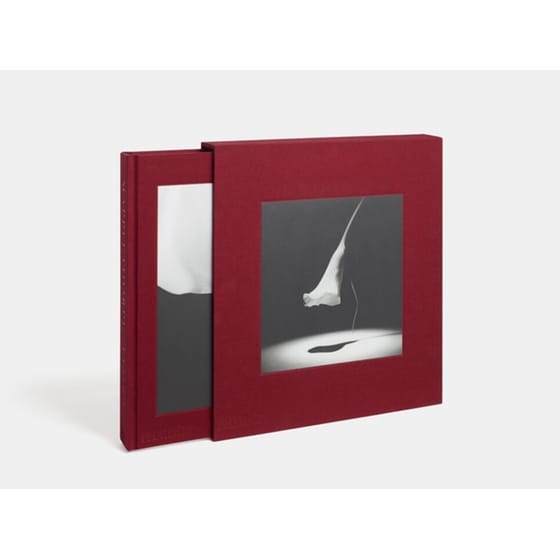 Mapplethorpe Flora image 1