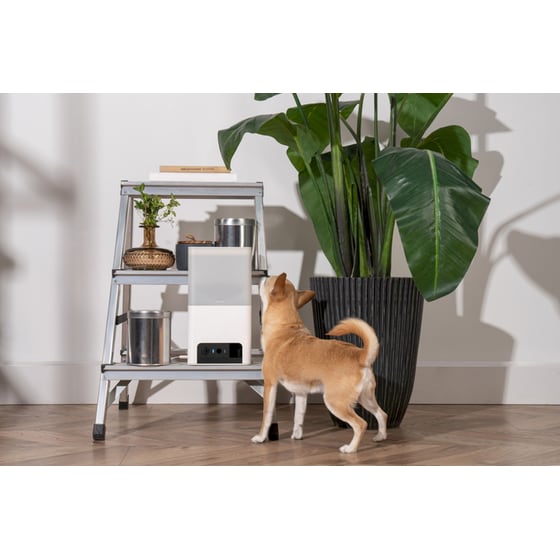 Petcube WRL Ταΐστα με Κάμερα για Κατοικίδια Bites 2 Lite image 8