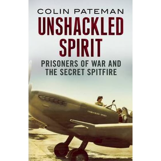 Unshackled Spirit: image 0