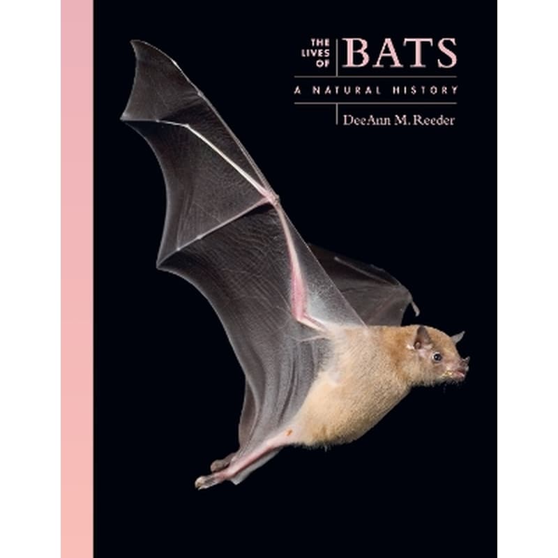 The Lives of Bats