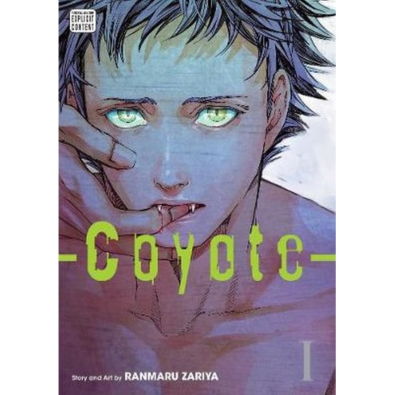 Coyote, Vol. 1 image 0