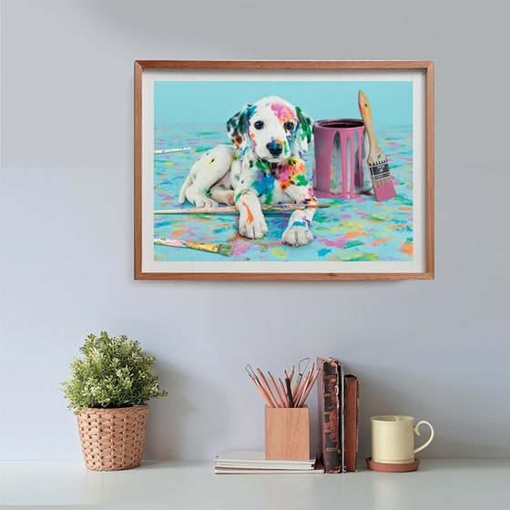 Παζλ Clementoni High Quality Collection Σκυλάκι Δαλματίας - Compact Box (500 Κομμάτια) image 4