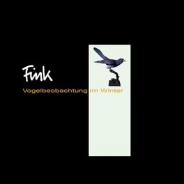 Vogelbeobachtungen Im Winter