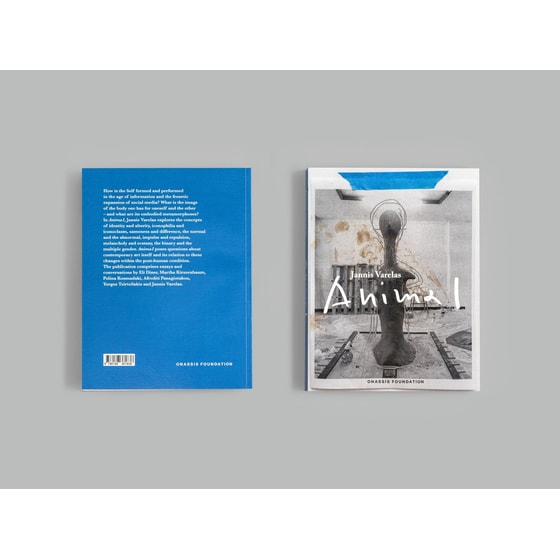 Anima I image 1