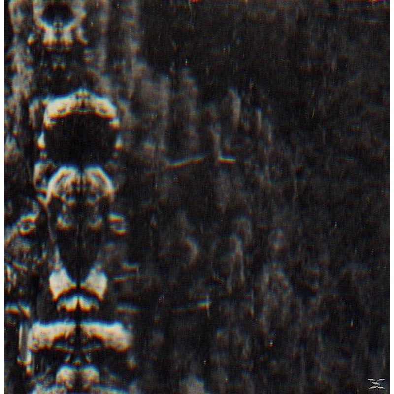 The Forest, The People And The Spirits