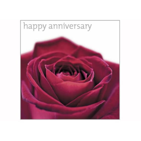 Ευχετήρια Κάρτα A.T.P. Anniversary Red Rose image 0