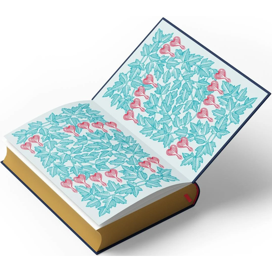 New Moon Deluxe Collector's Edition image 3