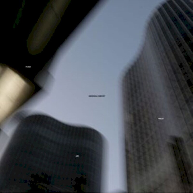 Flags Are Walls (LP)