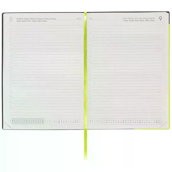 Ημερολόγιo Ημερήσιο Legami 2026 12Μ Large Chartreuse image 3