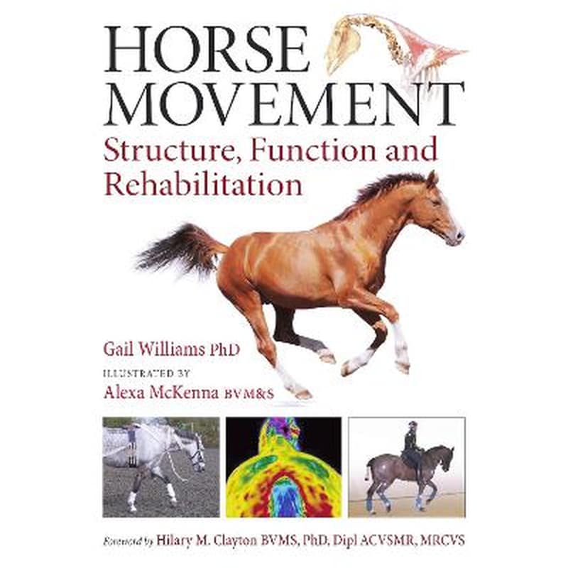 Horse Movement