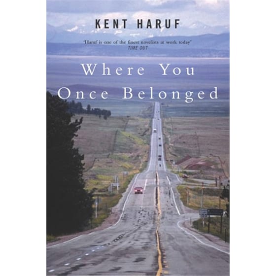 Where You Once Belonged image 0