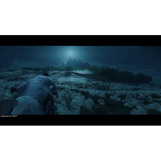 Ghost of Tsushima Director's Cut - PS5 image 5