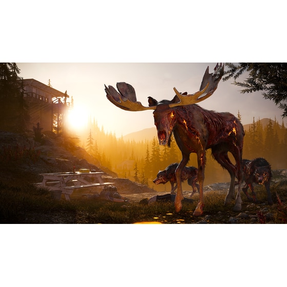 Far Cry 5 - PS4 image 16