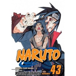 Naruto, Vol. 43