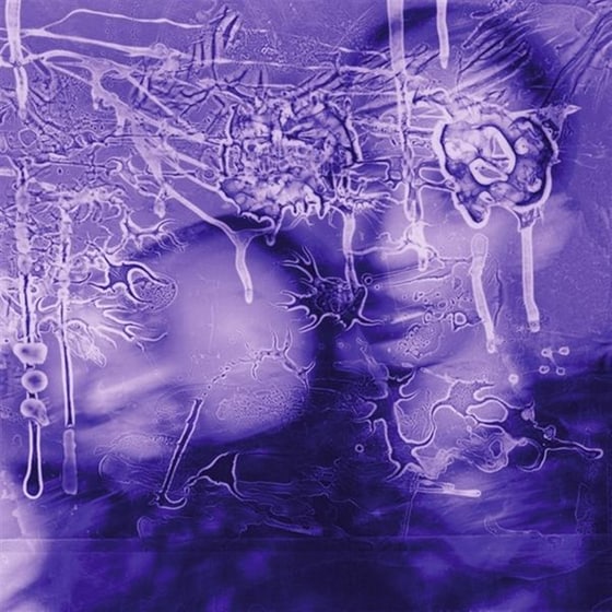 I Got A Song, It's Gonna Make Us Millions (Limited) image 0