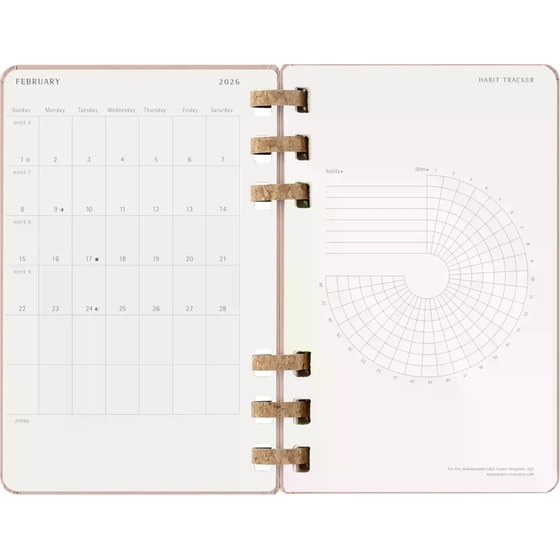 Ημερολόγιο Σπιράλ Moleskine 2026 12Μ Large Spiral Almond Hard image 7