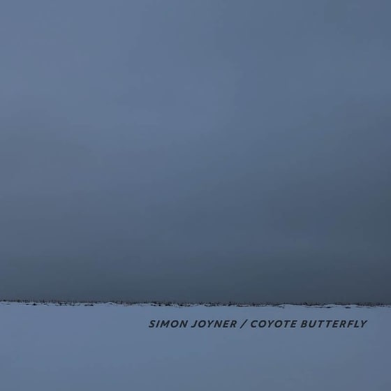 Coyote Butterfly image 1
