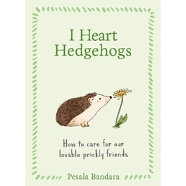 I Heart Hedgehogs