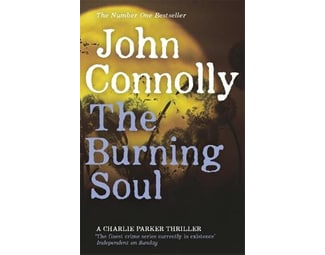 Burning Soul image 0