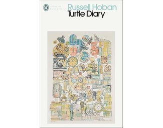 Turtle Diary image 0