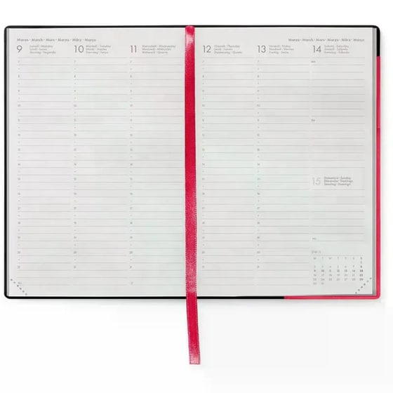 Ημερολόγιο Εβδομαδιαίο Legami 2026 12Μ Medium Cherry Bomb image 3