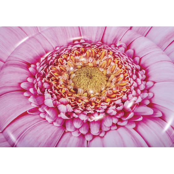 Στρώμα Θαλάσσης Intex Daisy Flower 142 cm - Ροζ image 2