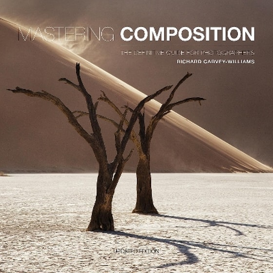 Mastering Composition image 0