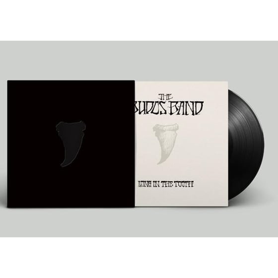 Long In The Tooth (Lp+Mp3) image 1