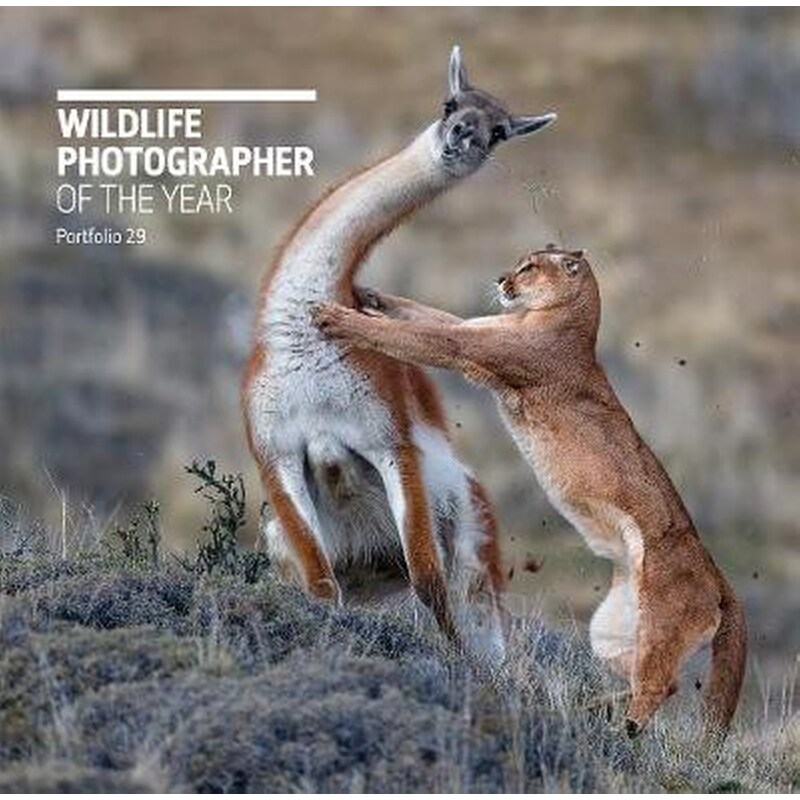 Wildlife Photographer of the Year- Portfolio 29