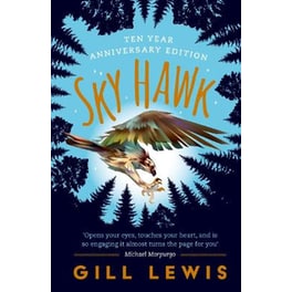 Sky Hawk