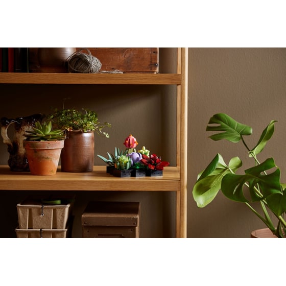 LEGO® Creator Expert Succulents (10309) image 7