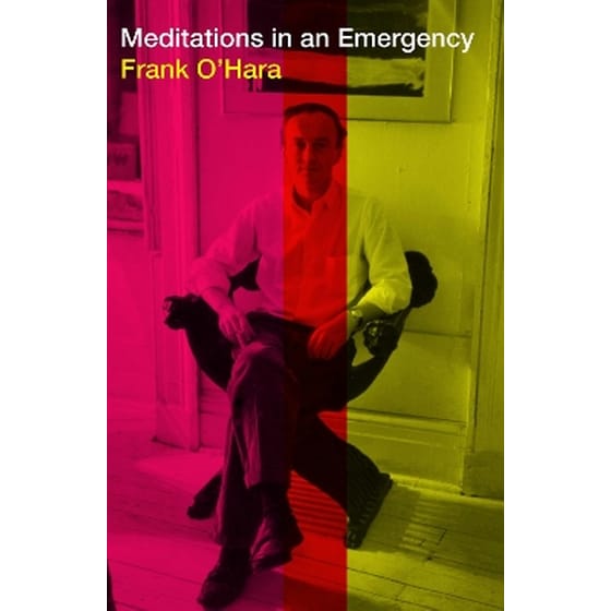 Meditations in an Emergency image 0