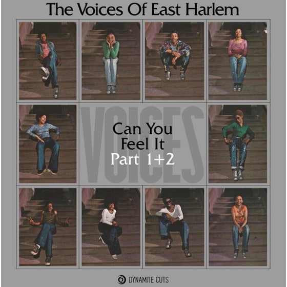 Can You Feel It (LP 7") image 0