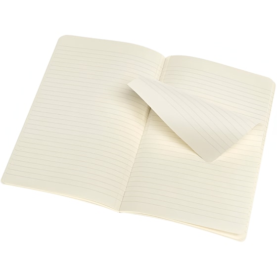 Σημειωματάριο Moleskine Ριγέ Πορτοκαλί Large (2 Τεμάχια) image 2