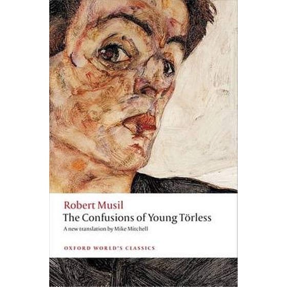 The Confusions of Young Toerless image 0