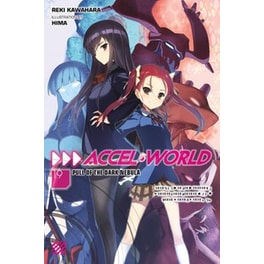 Accel World Vol. 20 (light novel)