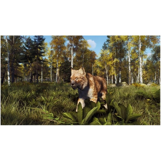 Way of the Hunter: Wild Expeditions - PS5 image 3