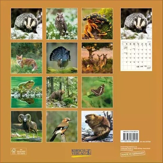 Ημερολόγιο Τοίχου 2025 Tiere des Waldes image 13