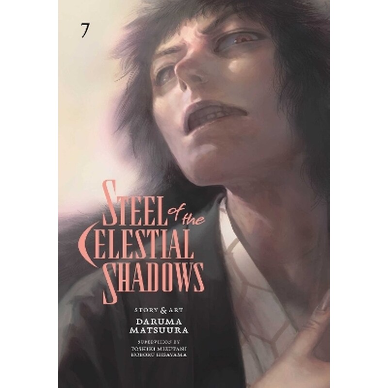 Steel of the Celestial Shadows, Vol. 7