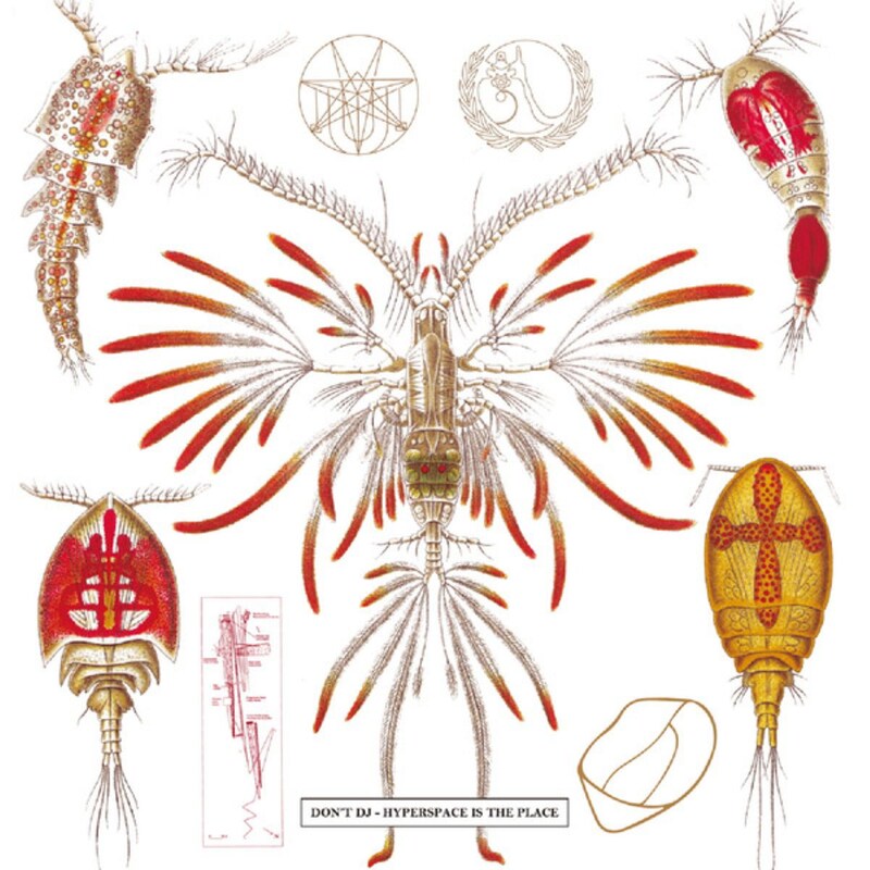 Hyperspace Is The Place/Hyperspace Is No Place