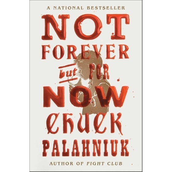 Not Forever, But For Now image 0