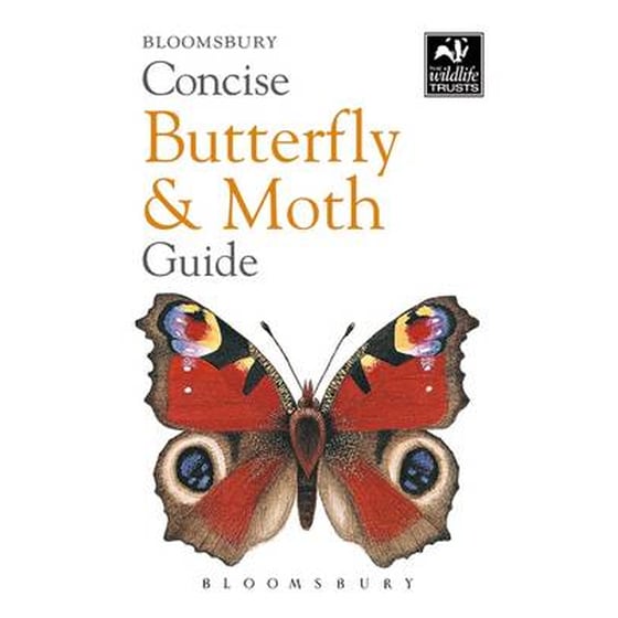 Concise Butterfly and Moth Guide image 0