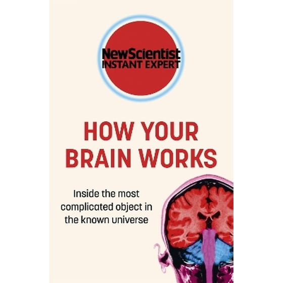 How Your Brain Works image 0