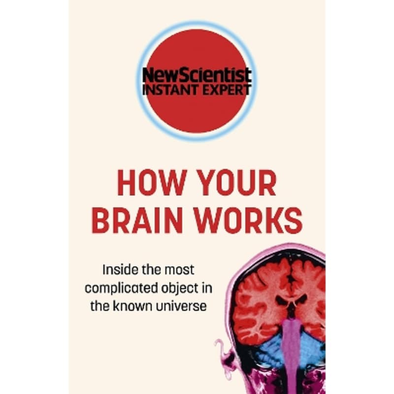 How Your Brain Works