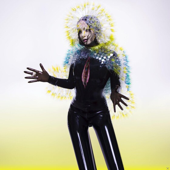 Vulnicura image 0