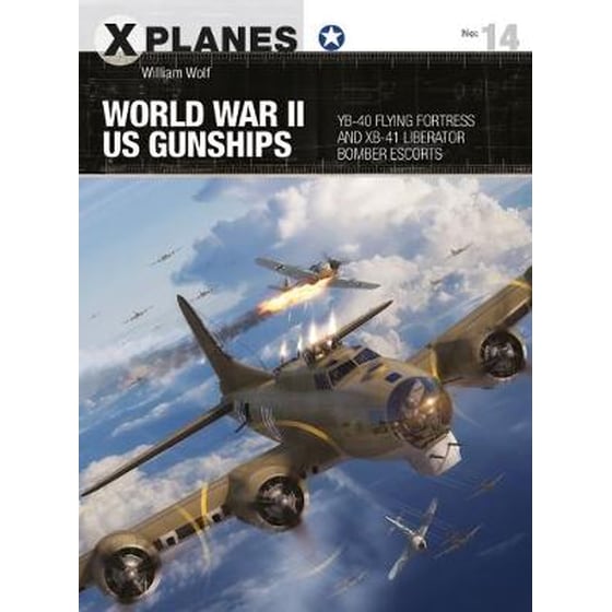 World War II US Gunships image 0